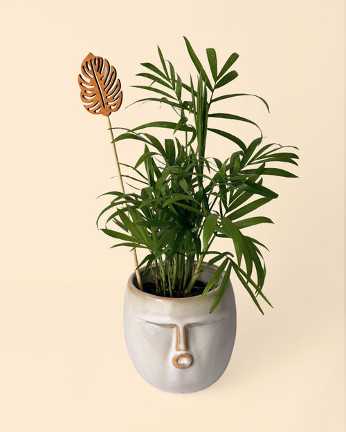 Tutor Decorativo Para Macetas Hoja Monstera 20 cm - Pur Plant