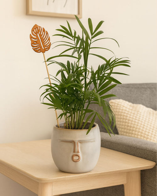 Tutor Decorativo Para Macetas Hoja Monstera 20 cm - Pur Plant
