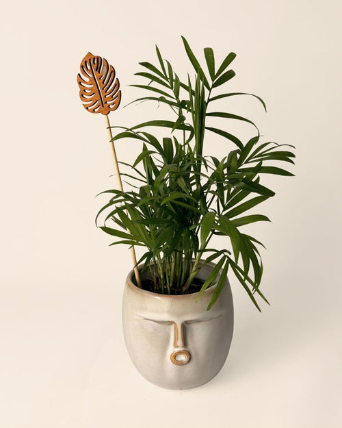 Tutor Decorativo Para Macetas Hoja Monstera 20 cm - Pur Plant