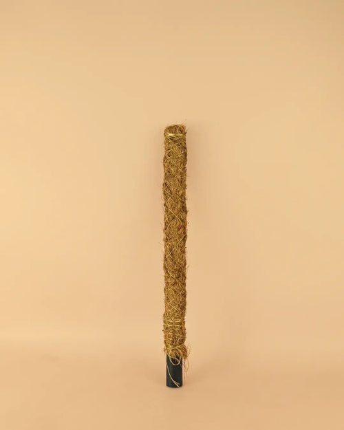 Tutor Fibra de Coco 50 cm - Pur Plant