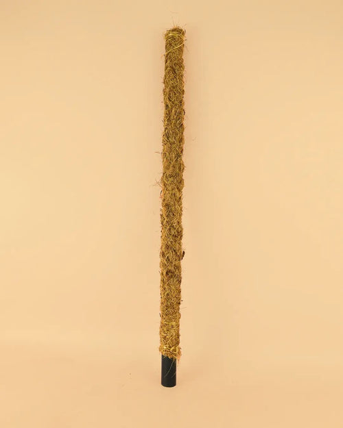 Tutor Fibra de Coco 75 cm - Pur Plant