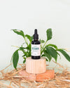 Vitamin – Aminoácidos Libres para Plantas 50ml - Pur Plant