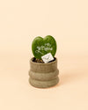Wave – Mini Maceta Cerámica Dark Grey 6 cm - Pur Plant