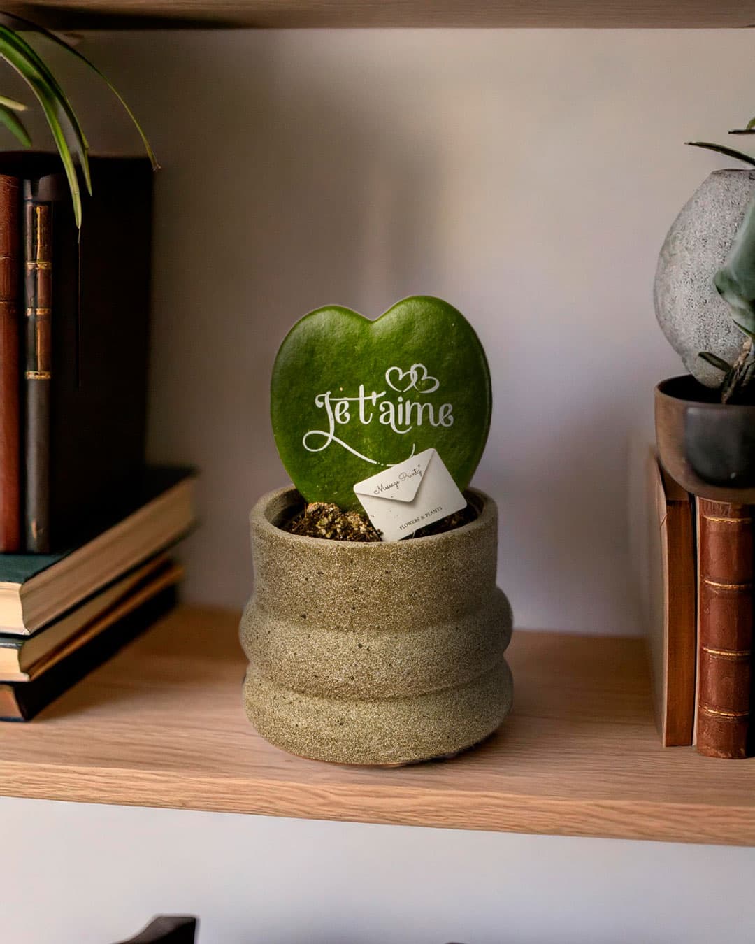 Wave – Mini Maceta Cerámica Dark Grey 6 cm - Pur Plant