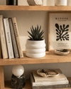 Wave – Mini Maceta Cerámica White 6 cm - Pur Plant