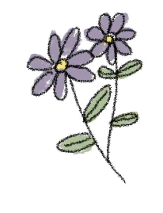 organico