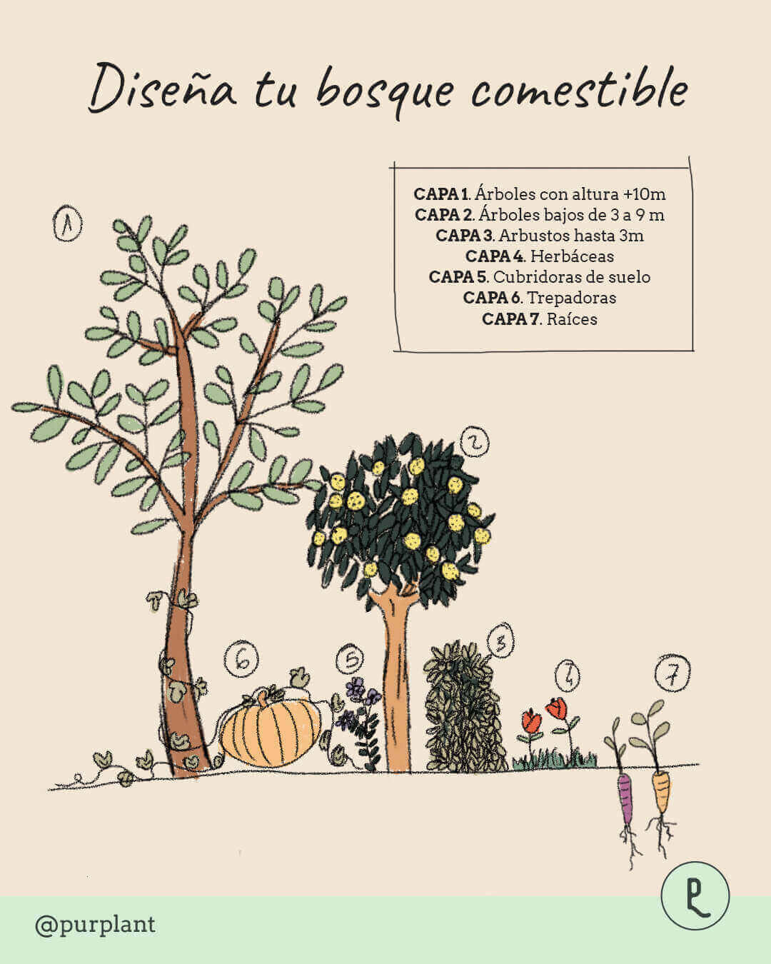bosque_comestible bosque_comestible