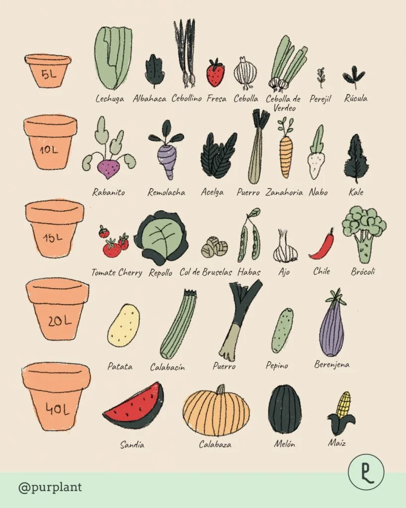 cultivar-en-maceta
