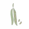semillas-ecologicas-habas