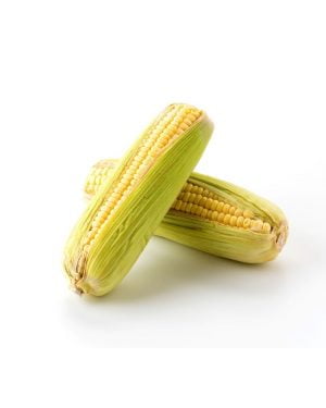 semillas_maiz_ecologicas
