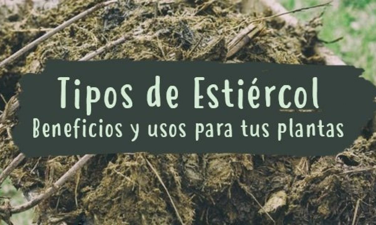 Details 100 estiércol de caballo para árboles frutales - Abzlocal.mx