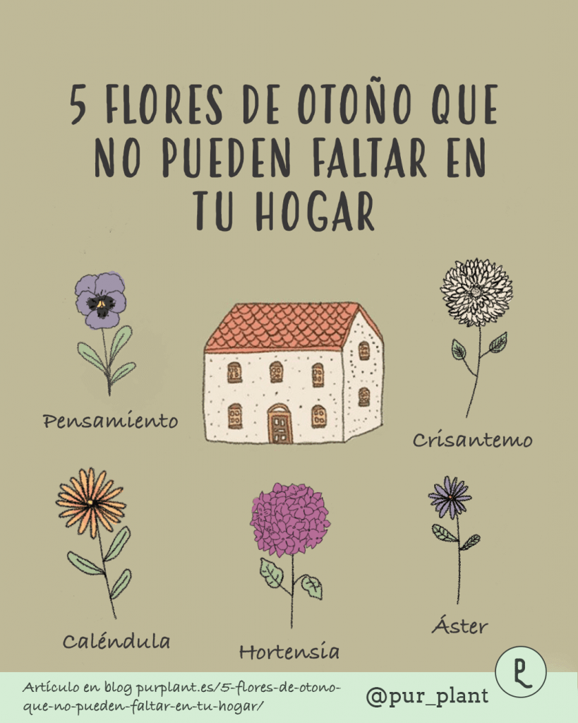 flores otoño