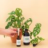 food-fertilizantes-liquidos