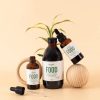 food-fertilizantes-liquidos-plantas