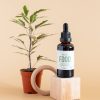 plant-food-comida-plantas-interior