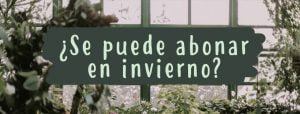 abonar en invierno