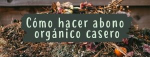 como-hacer-abono-casero