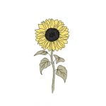 girasol-gigante-purplant