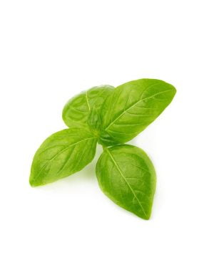 hoja-albahaca-genovesa-purplant