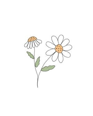margarita-flor-purplant