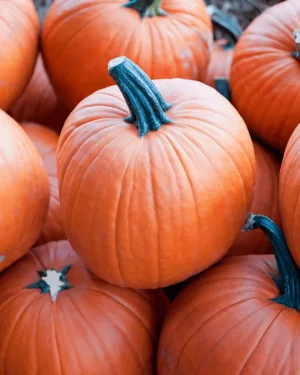 semillas calabaza halloween