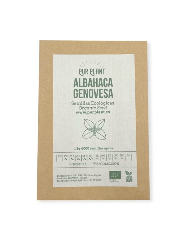 semillas-ecologicas-albahaca-genovesa
