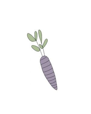 Semillas Orgánicas - Zanahoria morada