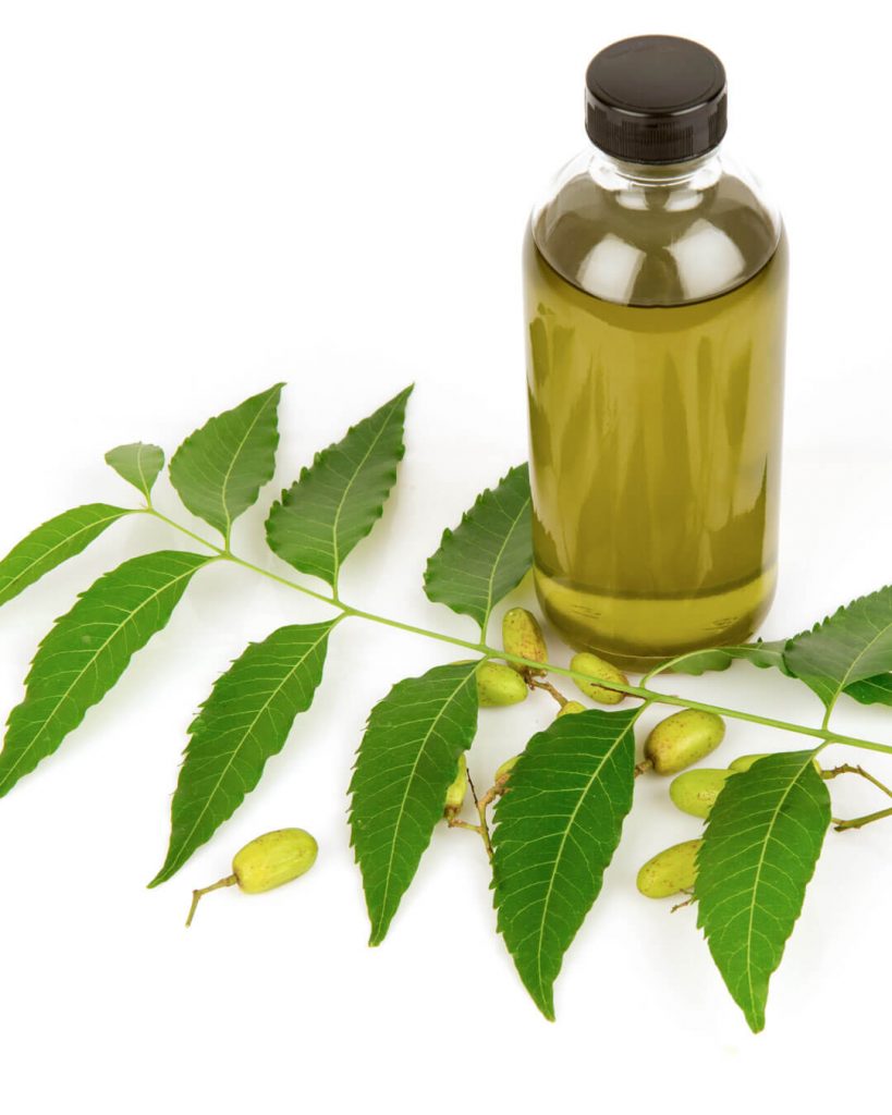 QUÉ ES EL ACEITE DE NEEM?