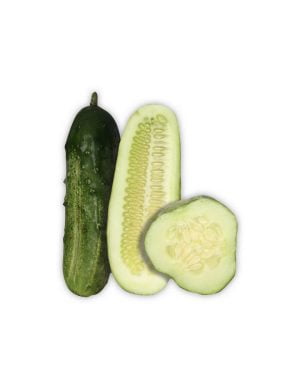 Semillas de Pepino Corto de Vinagre