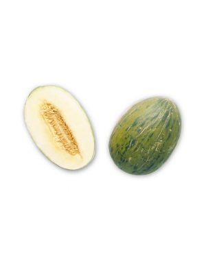 Semillas de Melón