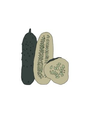 Semillas de Pepino Corto de Vinagre