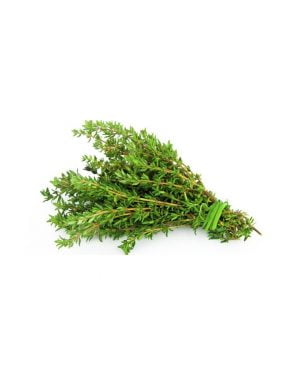 semillas-tomillo-eco-purplant