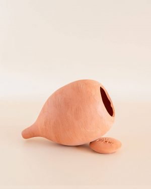 olla-auto-riego-natural-plantar
