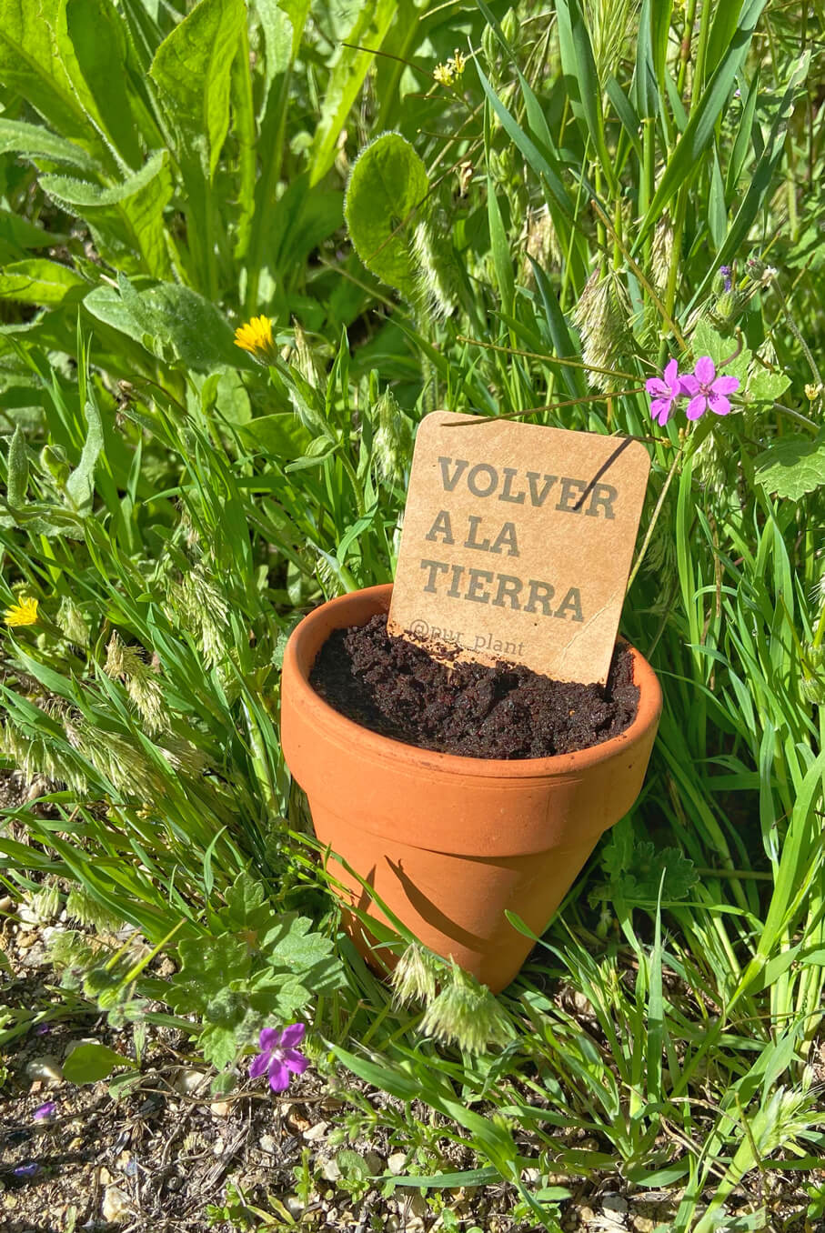volver-tierra-flores volver-tierra-flores
