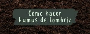 comohacerhumusdelombriz