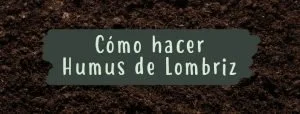 comohacerhumusdelombriz