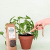 veggie-biopellet-planta