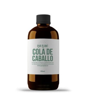 cola-de-caballo