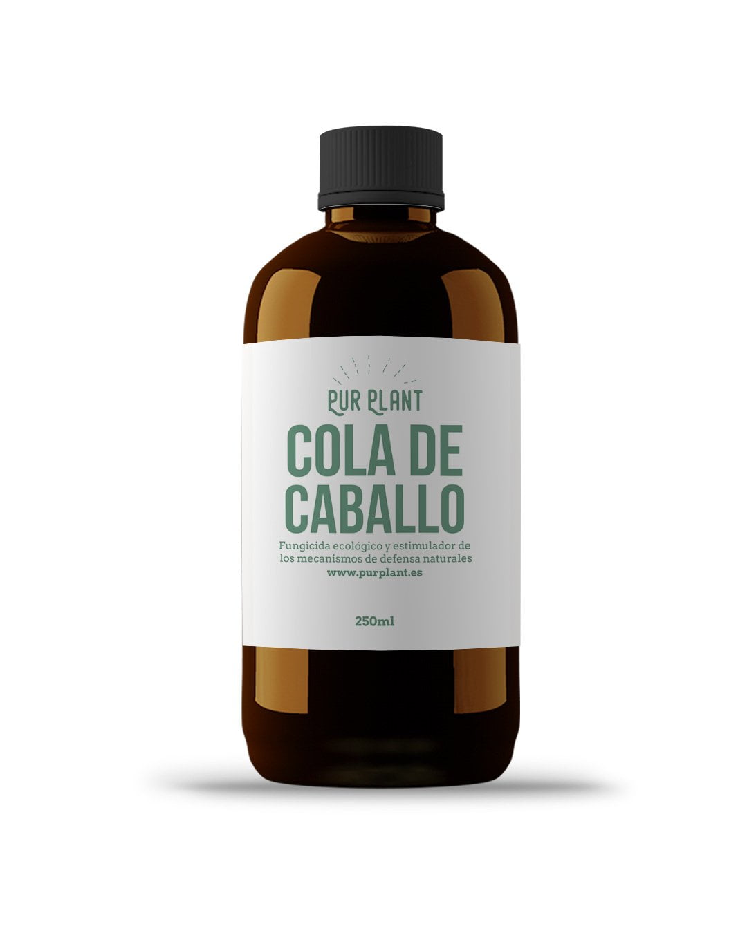 cola-de-caballo