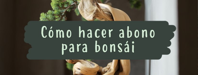 Cómo hacer abono para bonsái 4.2 (12)