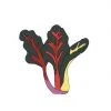 semillas-acelga-multicolor