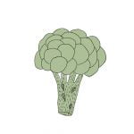 semillas-brocoli-verdura