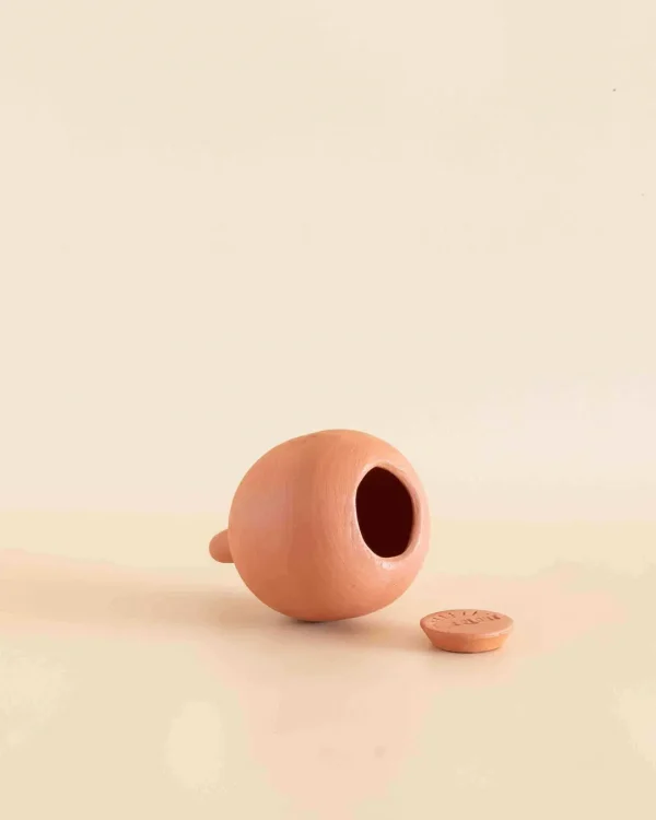 miniolla-autorriego-plantar