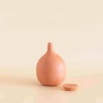 miniolla-de-autorriego