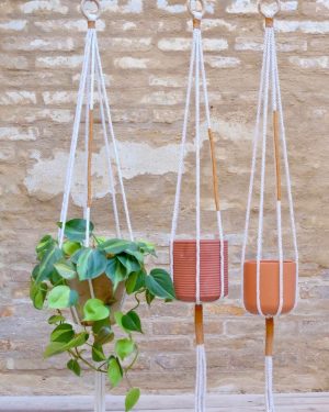 colgante-macrame-plantas-ocre