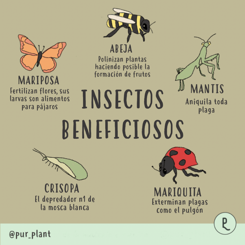 insectos beneficiosos plantas huerto