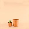 mini-maceta-artesanal-purplant-planta