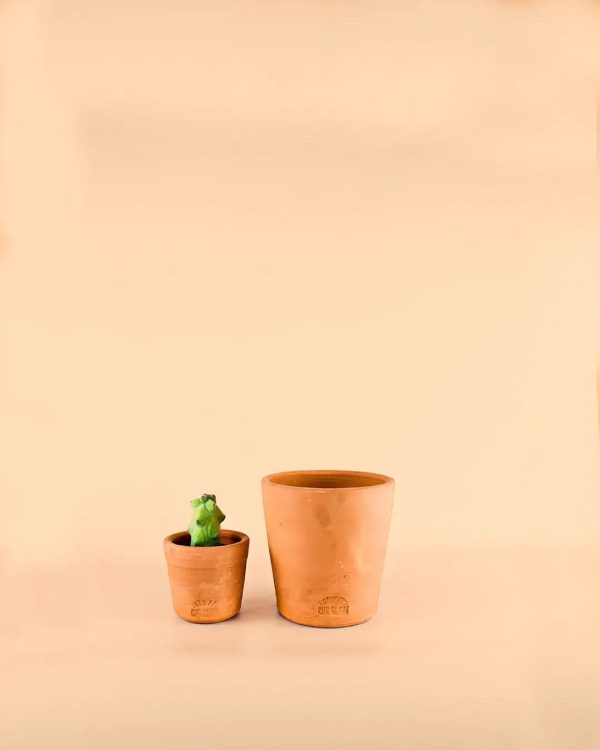 mini-maceta-artesanal-purplant-planta