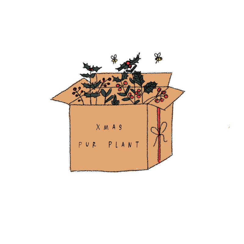 regalapurplant regalapurplant