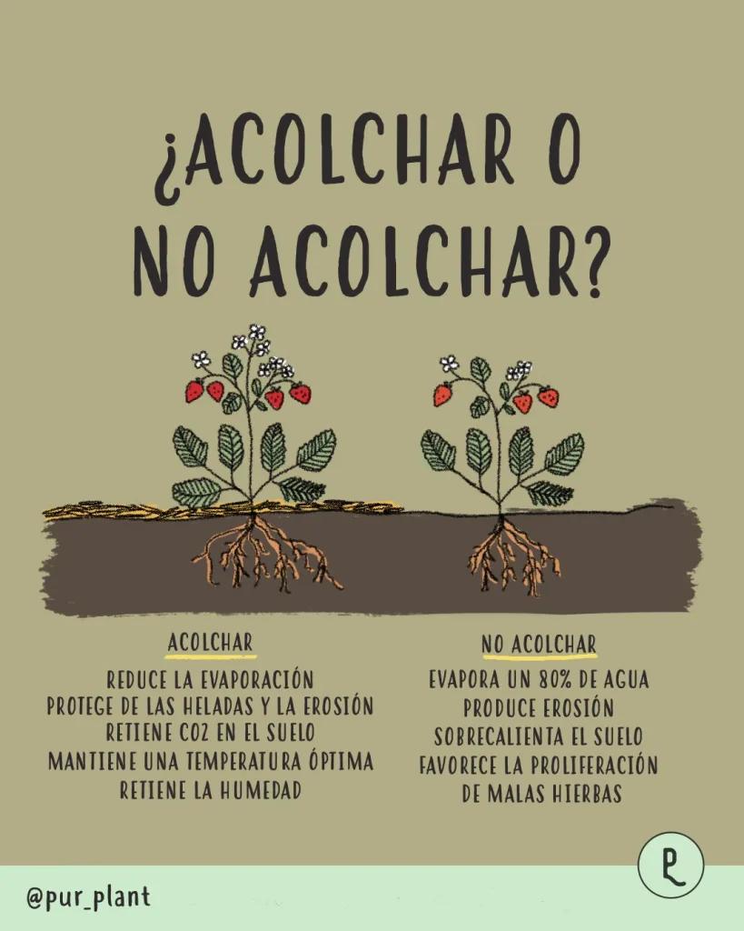 beneficios de acolchar